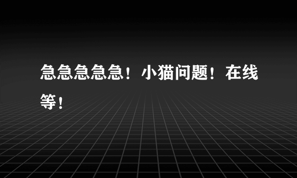 急急急急急！小猫问题！在线等！