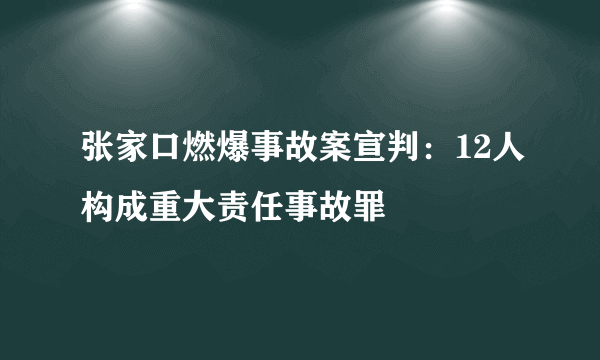 张家口燃爆事故案宣判：12人构成重大责任事故罪