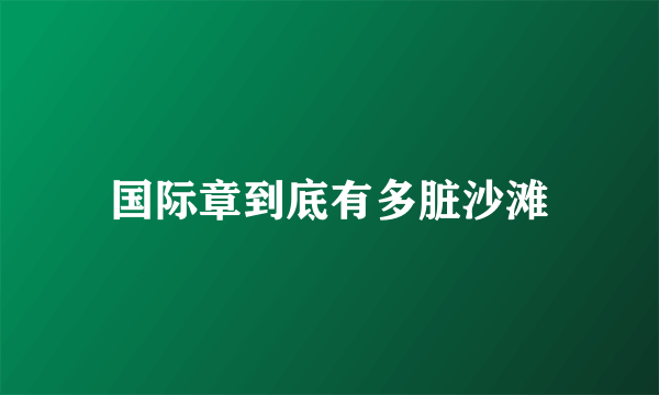 国际章到底有多脏沙滩