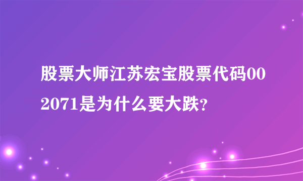 股票大师江苏宏宝股票代码002071是为什么要大跌？