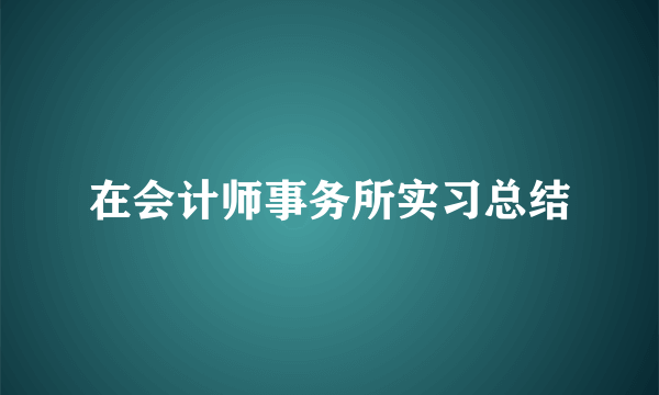 在会计师事务所实习总结