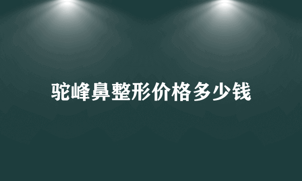 驼峰鼻整形价格多少钱