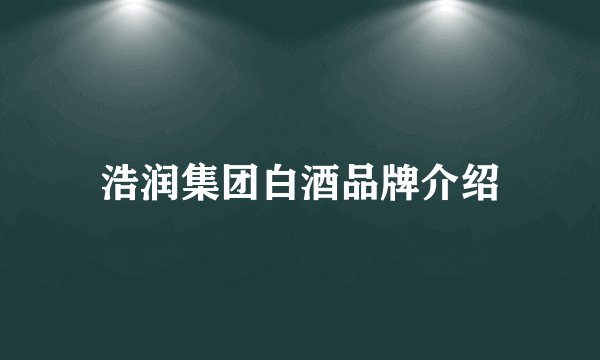 浩润集团白酒品牌介绍