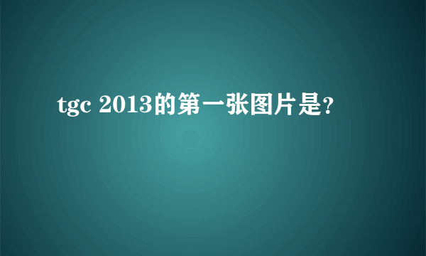 tgc 2013的第一张图片是？