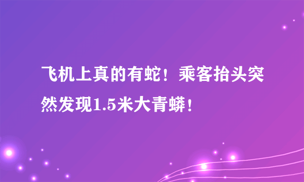 飞机上真的有蛇！乘客抬头突然发现1.5米大青蟒！