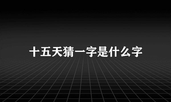 十五天猜一字是什么字