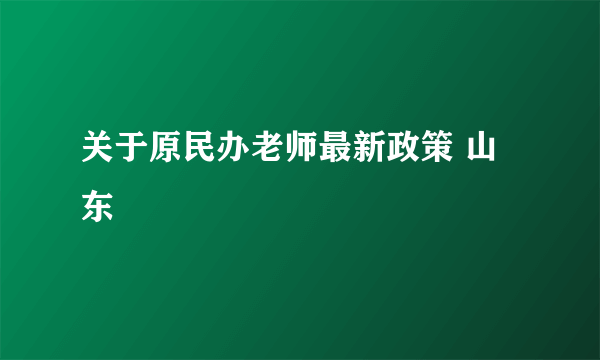 关于原民办老师最新政策 山东