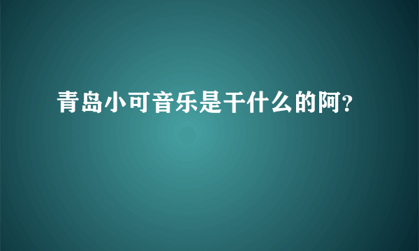 青岛小可音乐是干什么的阿？