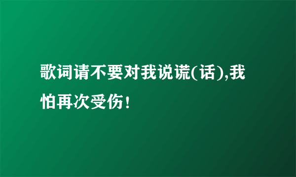 歌词请不要对我说谎(话),我怕再次受伤！