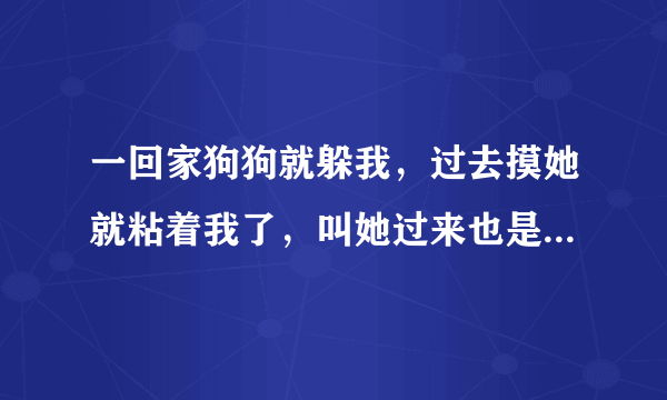 一回家狗狗就躲我，过去摸她就粘着我了，叫她过来也是夹着尾巴就溜，怎么办