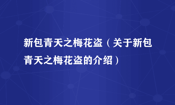 新包青天之梅花盗（关于新包青天之梅花盗的介绍）