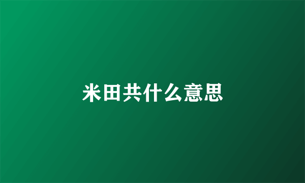 米田共什么意思