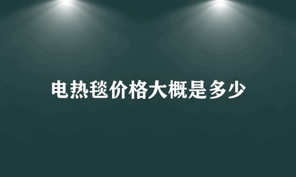 电热毯价格大概是多少