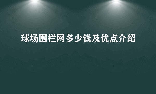 球场围栏网多少钱及优点介绍