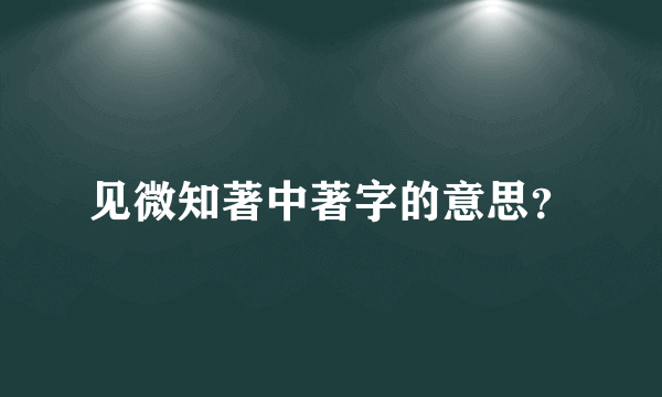 见微知著中著字的意思？