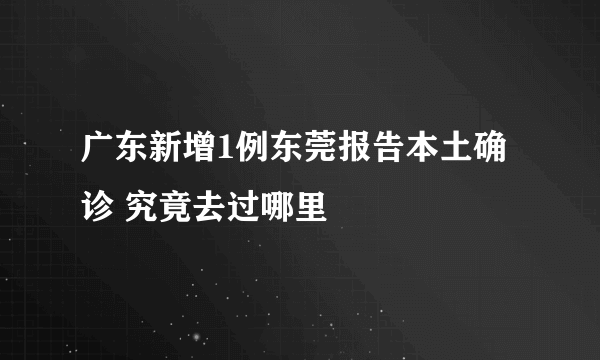 广东新增1例东莞报告本土确诊 究竟去过哪里