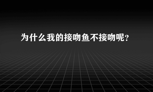 为什么我的接吻鱼不接吻呢？