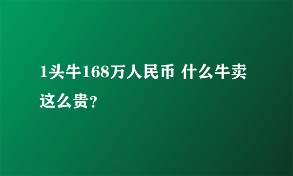 1头牛168万人民币 什么牛卖这么贵？