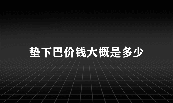 垫下巴价钱大概是多少