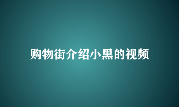 购物街介绍小黑的视频