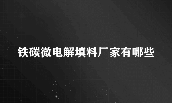 铁碳微电解填料厂家有哪些