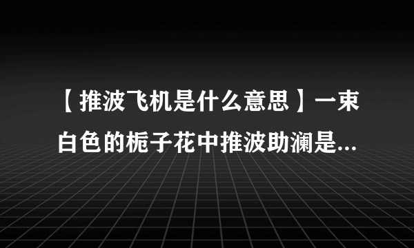 【推波飞机是什么意思】一束白色的栀子花中推波助澜是什么意思