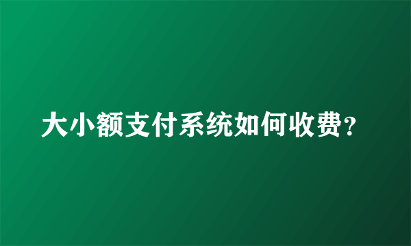 大小额支付系统如何收费？