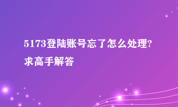 5173登陆账号忘了怎么处理?求高手解答