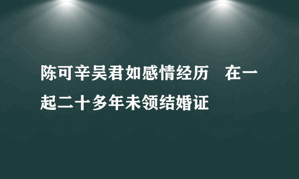 陈可辛吴君如感情经历   在一起二十多年未领结婚证