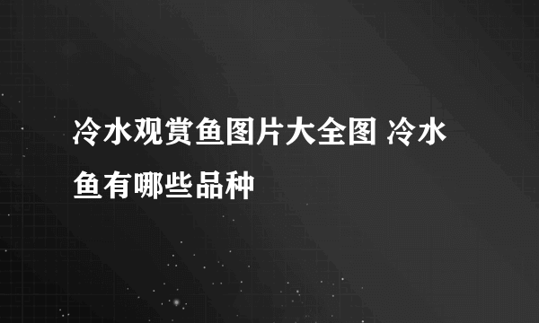 冷水观赏鱼图片大全图 冷水鱼有哪些品种