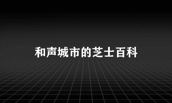 和声城市的芝士百科