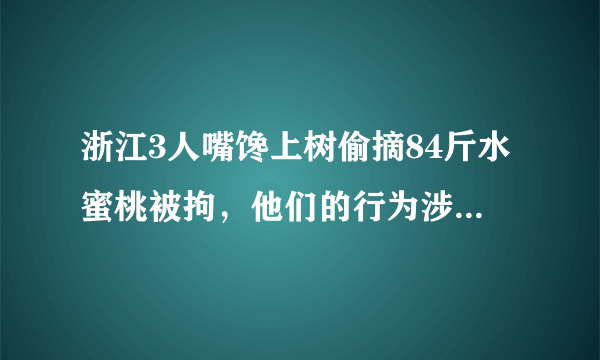 浙江3人嘴馋上树偷摘84斤水蜜桃被拘，他们的行为涉嫌什么罪？