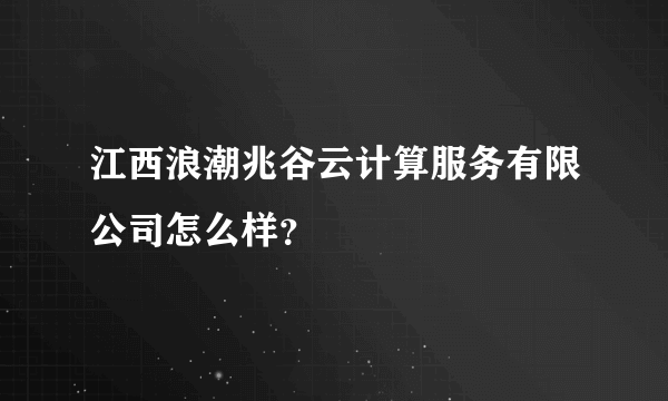 江西浪潮兆谷云计算服务有限公司怎么样？