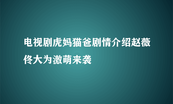 电视剧虎妈猫爸剧情介绍赵薇佟大为激萌来袭