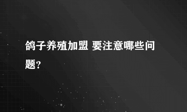 鸽子养殖加盟 要注意哪些问题？