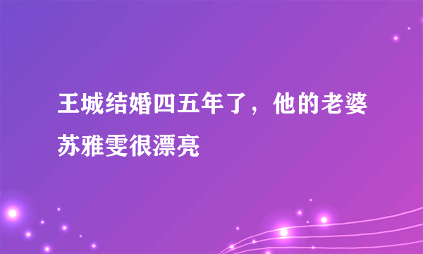 王城结婚四五年了，他的老婆苏雅雯很漂亮