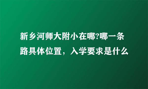 新乡河师大附小在哪?哪一条路具体位置，入学要求是什么