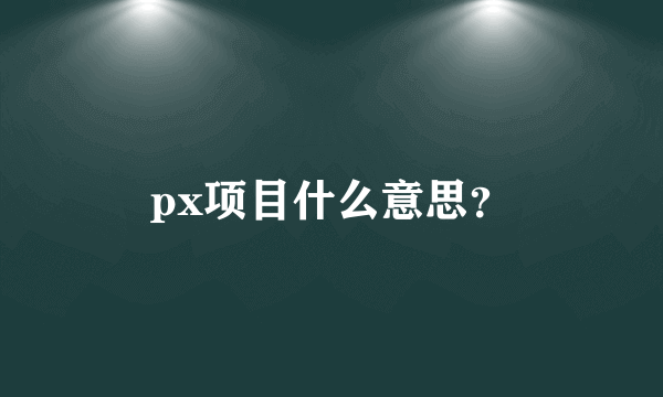 px项目什么意思？