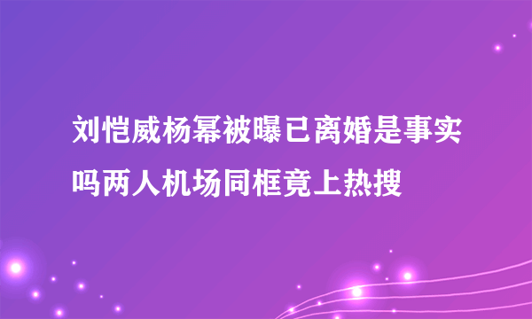 刘恺威杨幂被曝已离婚是事实吗两人机场同框竟上热搜