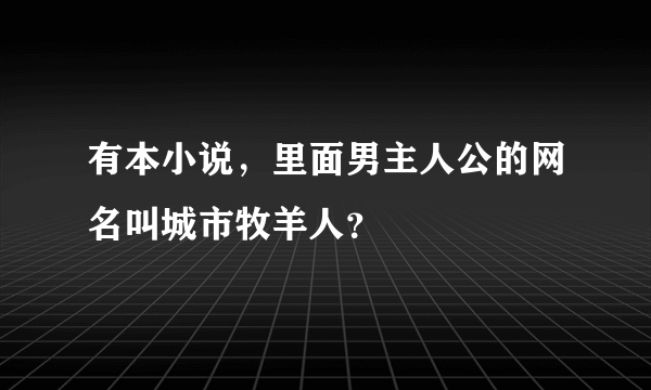 有本小说，里面男主人公的网名叫城市牧羊人？