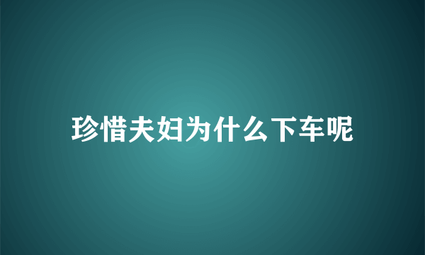 珍惜夫妇为什么下车呢