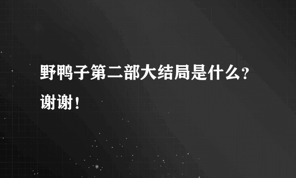 野鸭子第二部大结局是什么？谢谢！