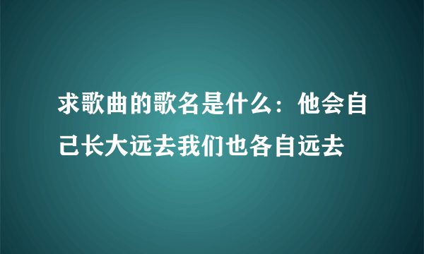 求歌曲的歌名是什么：他会自己长大远去我们也各自远去