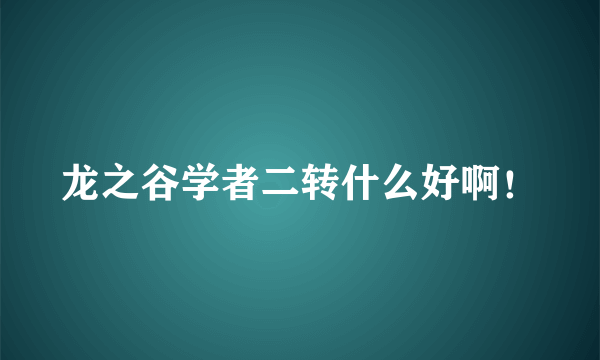 龙之谷学者二转什么好啊！