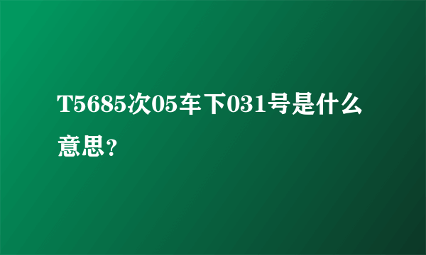 T5685次05车下031号是什么意思？