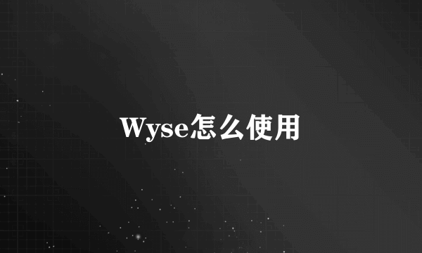 Wyse怎么使用