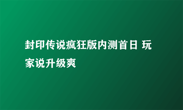 封印传说疯狂版内测首日 玩家说升级爽