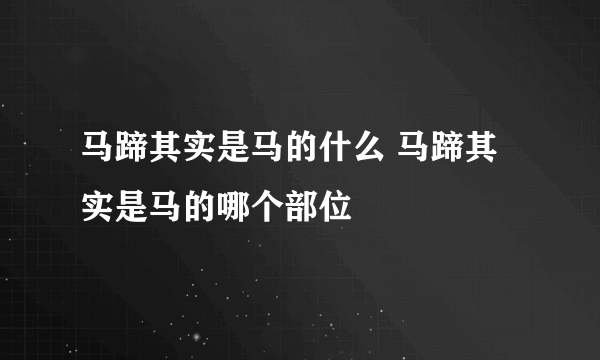 马蹄其实是马的什么 马蹄其实是马的哪个部位