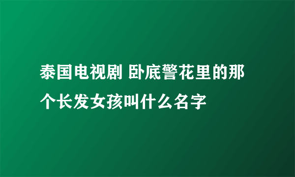 泰国电视剧 卧底警花里的那个长发女孩叫什么名字