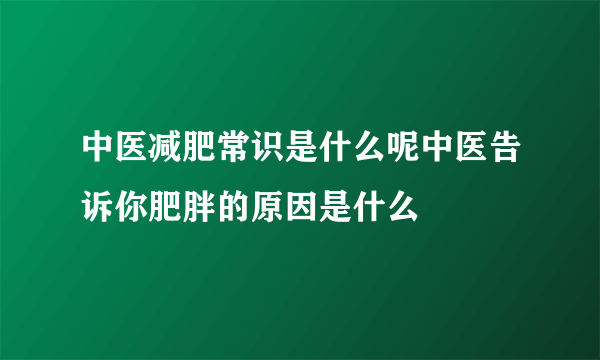 中医减肥常识是什么呢中医告诉你肥胖的原因是什么